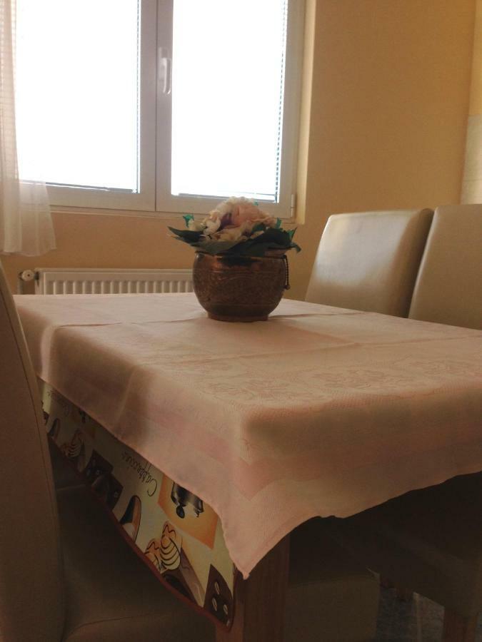 Sunny Apartment Jukic With Sea View Zadar Zewnętrze zdjęcie